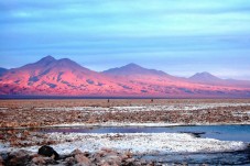 Full day excursion of Atacama Salt Flat and Altiplanic Lagoons