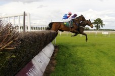 Enjoy a day of thrills at the races in Ireland!