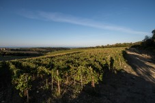 Biodynamic Duemani wine tasting on the Tuscan coast