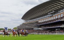 62 UK and Northern Ireland Racecourses available