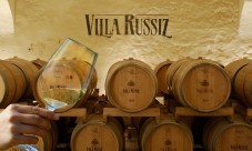 Sampling of Friulian wines with San Daniele prosciutto at the Russiz Villa