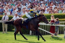 Day at the Races with Overnight Stay Gift Voucher
