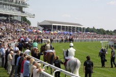 Day at the Races - £39 Gift Voucher