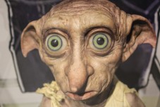 Harry Potter Dobby with large eyes