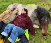 Meditate with Horses