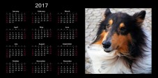 Personal Calendare