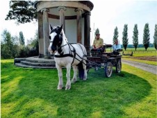 Horse drawn carriage ride with afternoon cream tea for two
