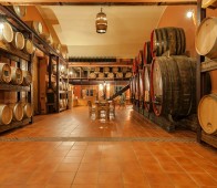 Langhe chauffeured tour with Barolo and Barbaresco wine tasting