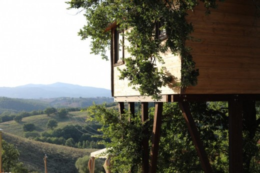 Night in the Tree House with Breakfast and Dinner