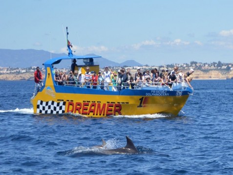 Grutas e Golfinhos no Algarve p/Criança até 10 anos