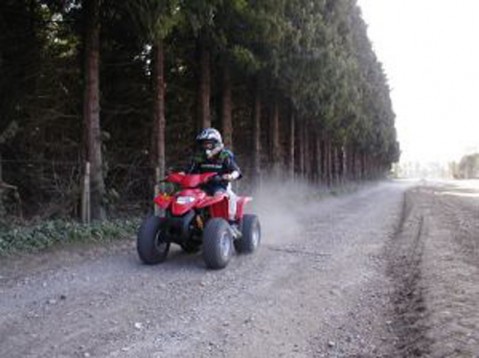 Honda quad bikes devon #3