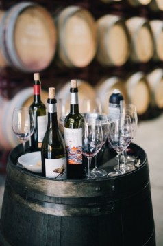 Visit and tasting at Feudi di San Gregorio
