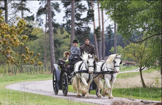 Horse Drawn Carriage Ride with Lunch for Two