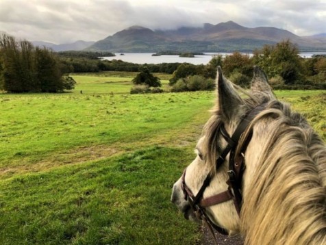 Horse Riding Tour in Killarney National Park for Two