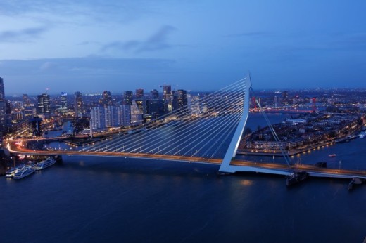 Harbour Sightseeing Cruise in Rotterdam