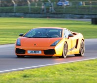 Drive a Lamborghini Gallardo