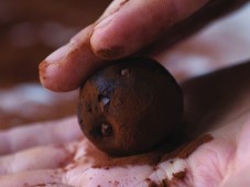 Learning how to make Truffles