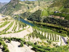 Douro River Cruise