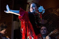 Come and see a unique Flamenco venue show!