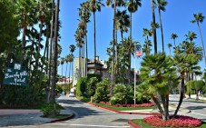Beverly Hills and West Hollywood Electric Bike Tour