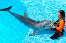 Swim with Dolphins in Portugal