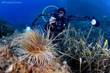 Corso Subacqueo Sicilia - Open Water Diver