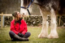 Meditate with Horses