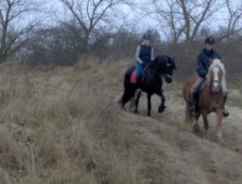 Mountain Horse Riding Trek in Conwy