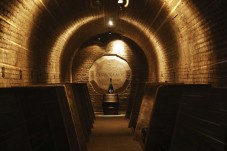 Visit Discovery - Maison Mumm - Reims (51)