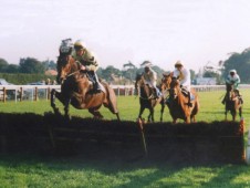 Choose from Jump and Flat racing fixtures
