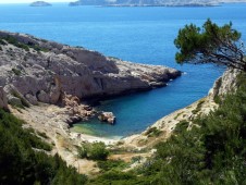Sunset tour Marseille Hop-On Hop-Off Bus