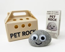 Small Pet Rock With Carry Case