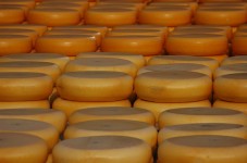 Cheese Making Course