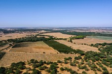 Dégustation de vins, visite de la cave et safari à Alentejo pour 2