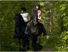 Mountain Horse Riding Trek in Conwy