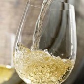 1 Night in a Farmhouse with Wine Tasting in Langhe Italy