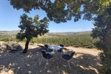 Buy a Night in Quinta da Cabrida & Traditional Portuguese Dinner