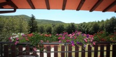 Stay in Monte Amiata