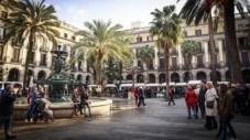 Private Sightseeing Tour in Barcelona
