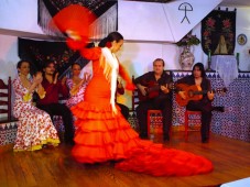 Flamenco and dinner for two