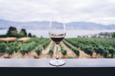 Douro Valley Road Trip Tour in Land Rover for 2
