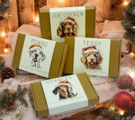 Personalised Box of Dog Treats