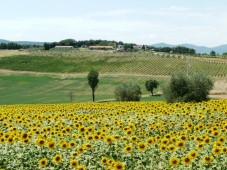 Notte in Agriturismo per due