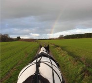 Horse drawn carriage ride with afternoon cream tea for two