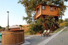 Night in the Tree House with Breakfast and Dinner
