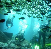 Scuba Diving for Two