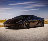 Drive a Lamborghini LP560-4