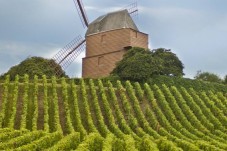 Visit Discovery - Maison Mumm - Reims (51)