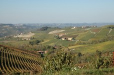1 Night in a Farmhouse with Wine Tasting in Langhe Italy