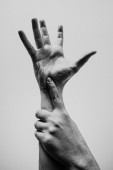 Tattoo Experience - Modena